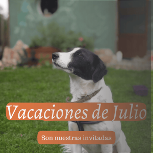 Descanso asegurado